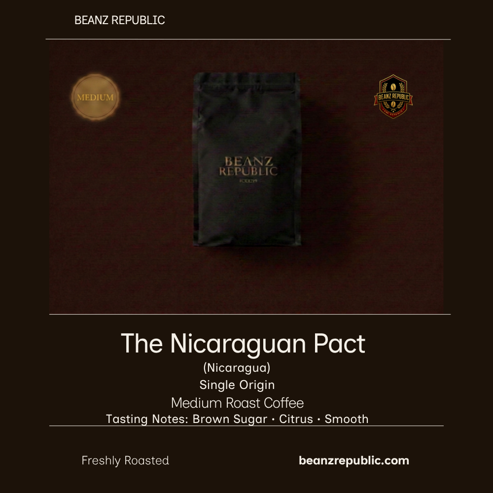 The Nicaraguan Pact (Nicaragua)