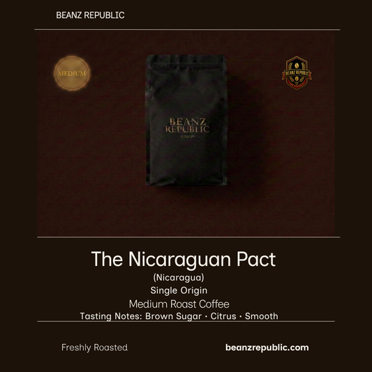 The Nicaraguan Pact (Nicaragua)